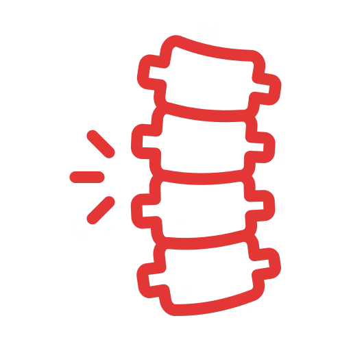 spine