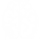 brain