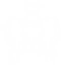 pelvis