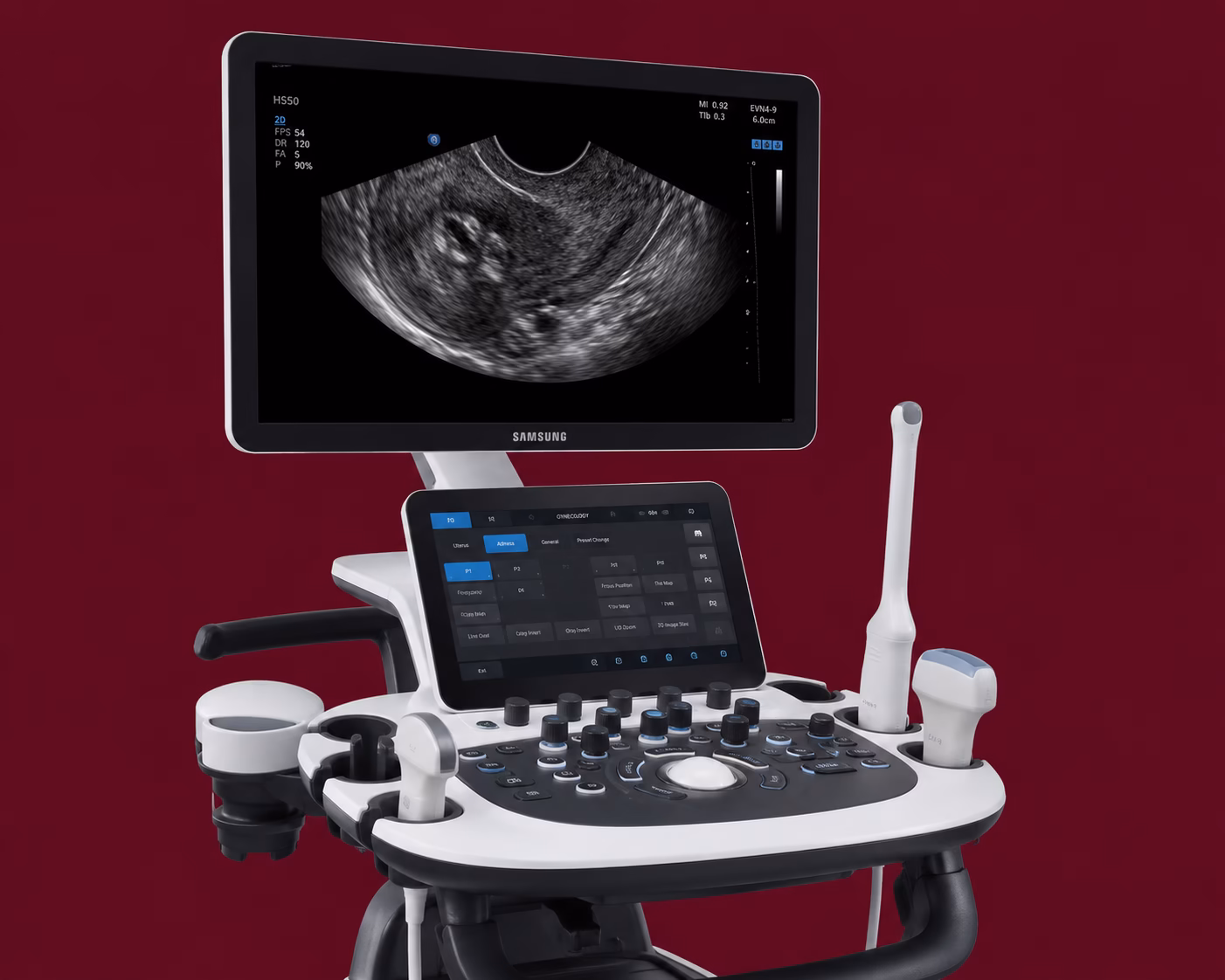 USG Pelvis TVS Scan